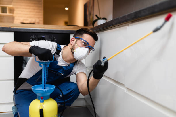 Best Wasp Removal Services  in Spanish Fort, AL