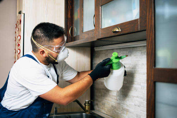 Best Cockroach Control Services  in Spanish Fort, AL