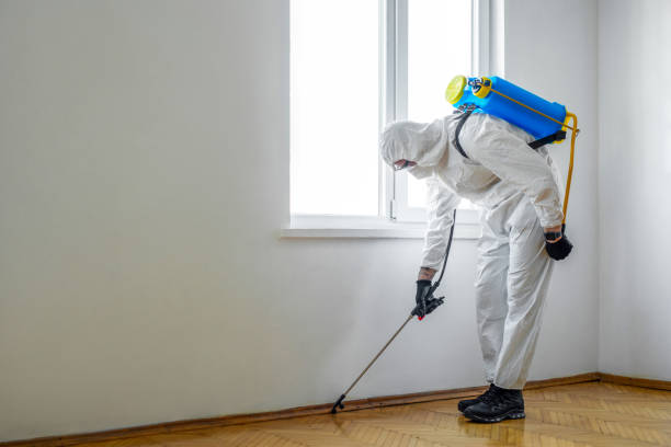 Pest Control Cost in Spanish Fort, AL