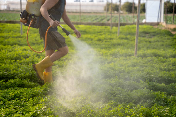 Best Pest Removal Services  in Spanish Fort, AL