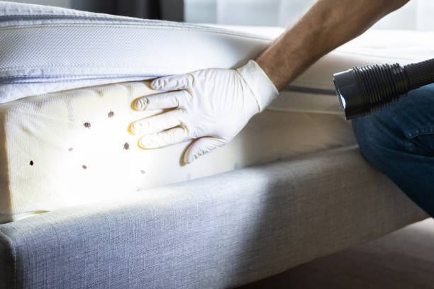 Best Local Pest Control Services  in Spanish Fort, AL