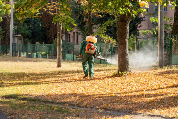 Best Mosquito Control Services  in Spanish Fort, AL