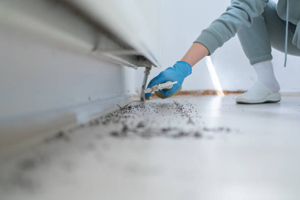 Spanish Fort, AL Pest Control Company